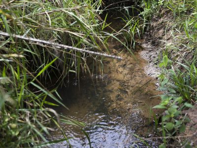 IBGE e ANA lançam dados para orientar análises de recursos hídricos