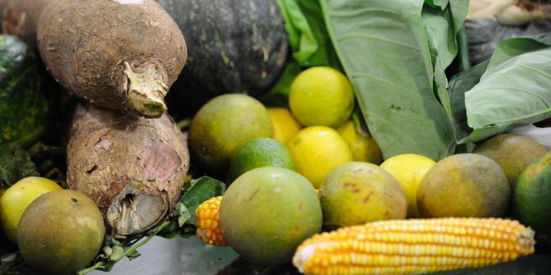 No Brasil, 14% da população se considera vegetariana