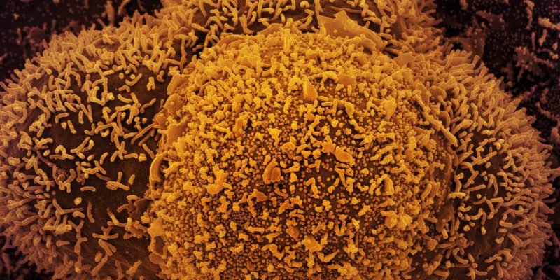 País segue tendência estável de transmissão da covid-19