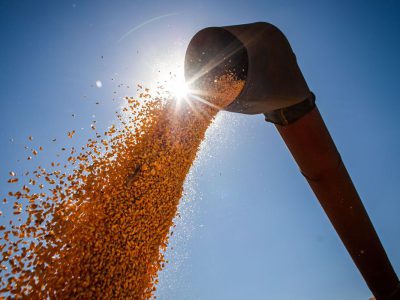 Conab: safra de grãos pode chegar a 291,1 milhões de toneladas