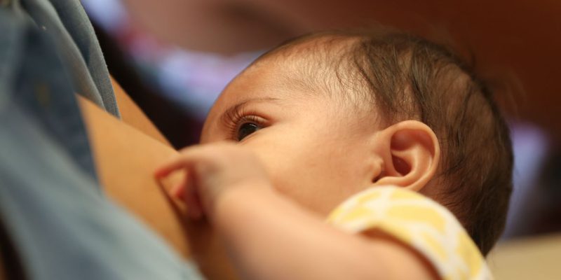 Dia Mundial da Doação de Leite realça o valor do aleitamento