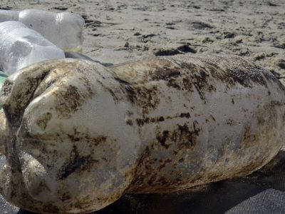 São Paulo recebe primeira edição da Bienal do Lixo