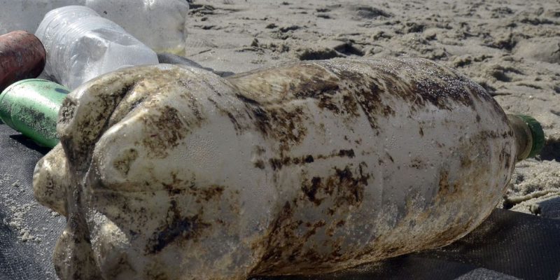 São Paulo recebe primeira edição da Bienal do Lixo