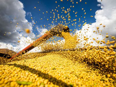 Pronaf disponibilizará R$ 60 bi para financiar Plano Safra 2022/23