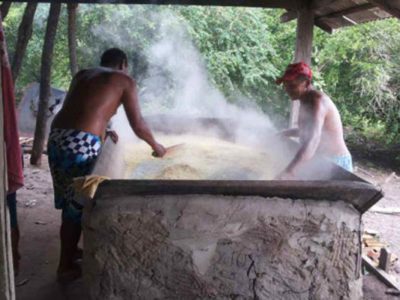 IBGE inicia censo em territórios quilombolas IBGE inicia censo em territórios quilombolas