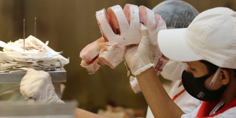 Semana do Pescado incentiva temporada de consumo no segundo semestre