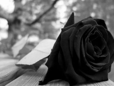 Diferenças entre o serviço de assistência funeral e a cobertura de auxílio funeral Diferenças entre o serviço de assistência funeral e a cobertura de auxílio funeral