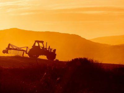 Seguro rural volta a preocupar e sinistros superam prêmios Seguro rural volta a preocupar e sinistros superam prêmios