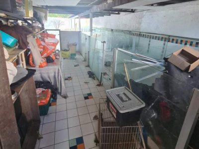 Veterinária responsável por hotel pet clandestino em Jardim Camburi paga fiança e é solta