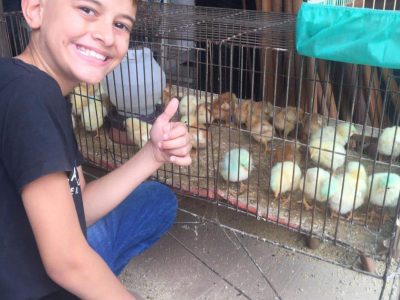 Criança baleada na escola tem alta da UTI e se recupera em hospital