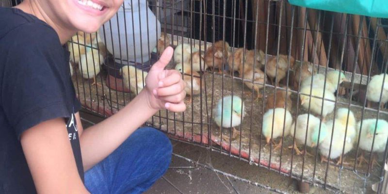 Criança baleada na escola tem alta da UTI e se recupera em hospital