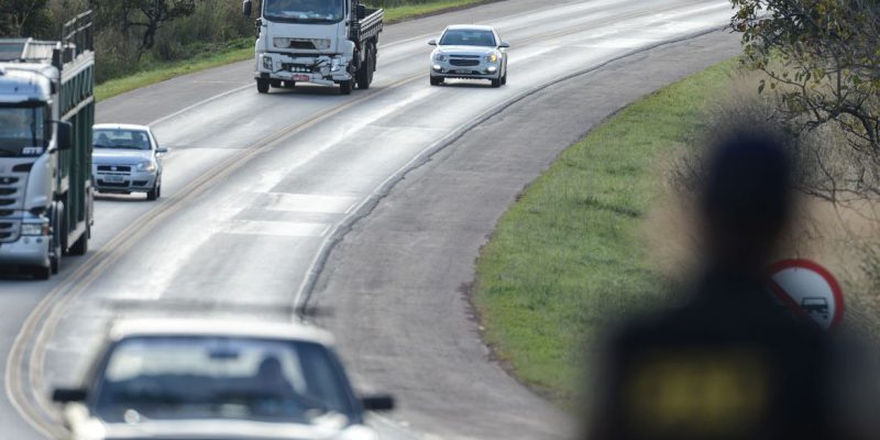 BR-040 vai ganhar passagens suspensas para a fauna