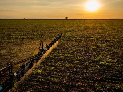 IBGE: 32% dos solos do país têm potencial natural para a agricultura