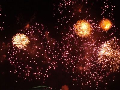 Câmara Municipal do Rio aprova lei que proíbe fogos de altos ruídos