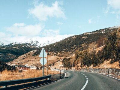 A quem recorrer quando o motorista colide com animal em rodovia e o carro não possui seguro