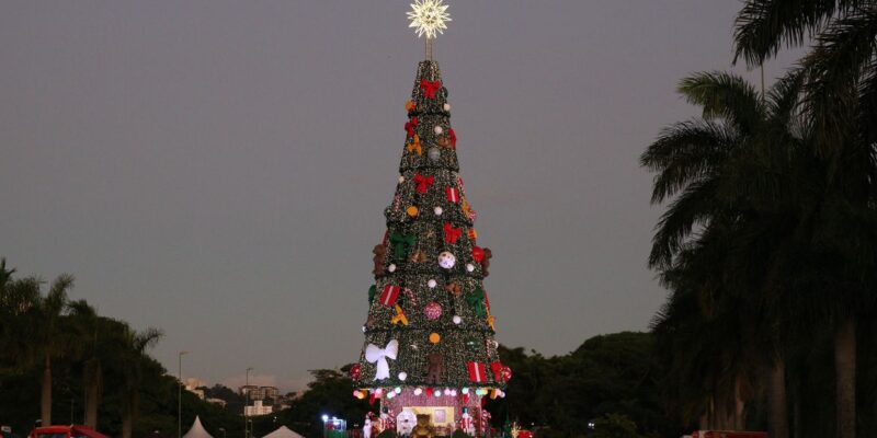 Parque Villa-Lobos, em SP, exibe árvore de Natal com 52 m de altura