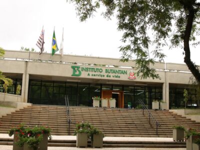 Vacina contra a dengue do Butantan atinge eficácia de 79,6%