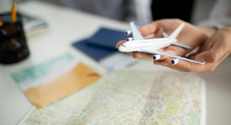 Férias escolares: assistência pet pode ser fundamental para evitar imprevistos durante viagens familiares