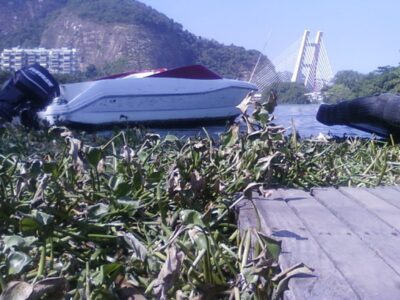 Retirada de gigogas da Barra da Tijuca deve terminar nesta quinta