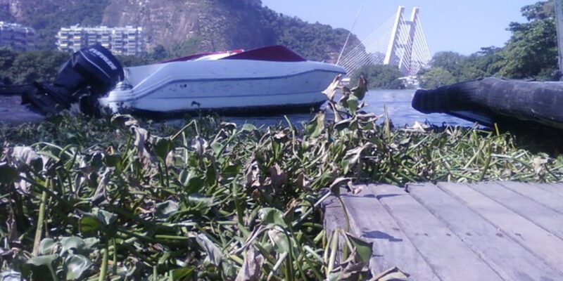 Retirada de gigogas da Barra da Tijuca deve terminar nesta quinta