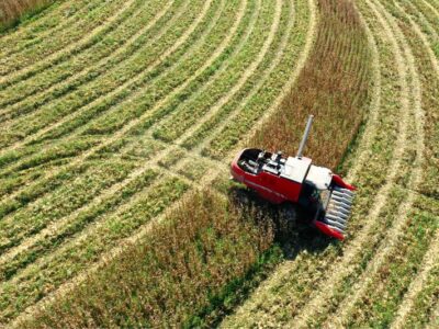 O que o produtor deve fazer para comprovar perdas e receber o seguro? Especialista detalha as medidas