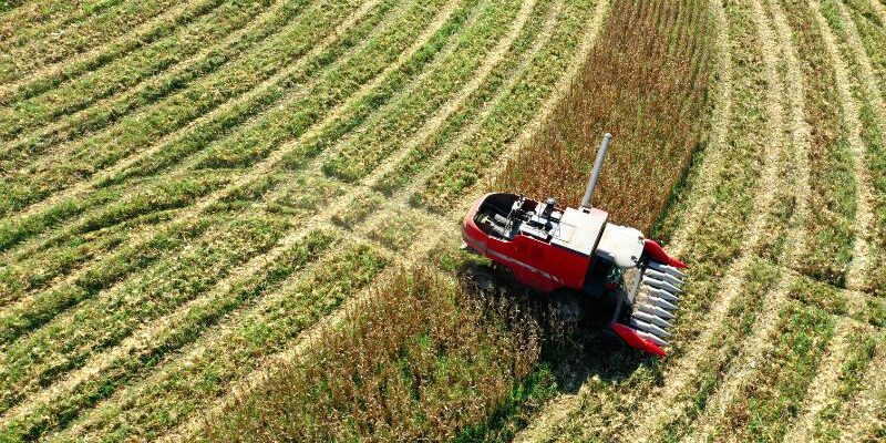 O que o produtor deve fazer para comprovar perdas e receber o seguro? Especialista detalha as medidas