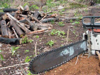 Em 2022, Amazônia teve maior desmatamento em 15 anos, diz Imazon