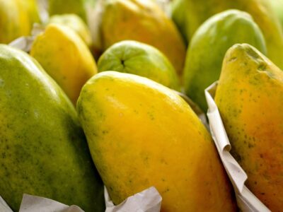 Governo prorroga prazo para cadastro na Agricultura Familiar