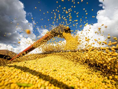 IBGE reduz em 1,3% previsão de safra para este ano