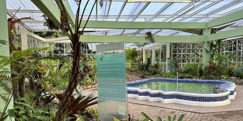 Jardim Botânico do Rio reabre bromeliário, após nove meses em obras