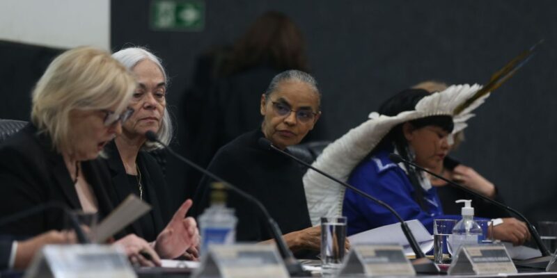 Marina Silva denuncia desmonte na fiscalização ambiental