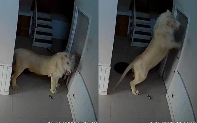 Imposto de Renda: no último dia do prazo, memes tomam conta das redes