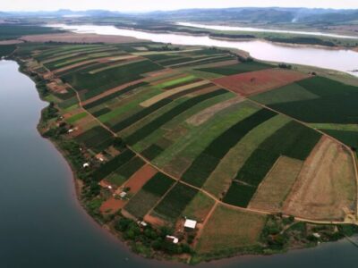 Você sabe qual é a diferença entre agricultura orgânica e agroecologia?