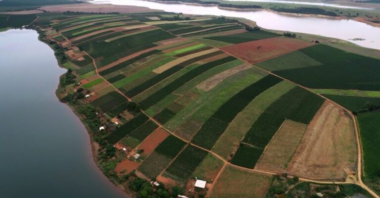 Você sabe qual é a diferença entre agricultura orgânica e agroecologia?