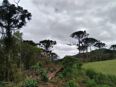 A área equivale a mais de duas vezes o município do Rio de Janeiro