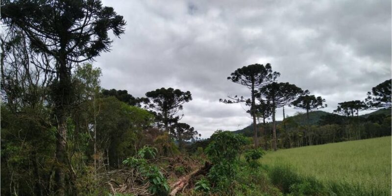 A área equivale a mais de duas vezes o município do Rio de Janeiro