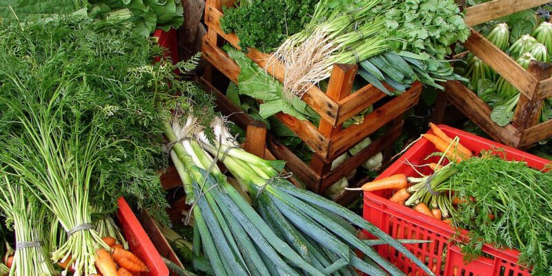 Câmara aprova recriação de Programa de Aquisição de Alimentos