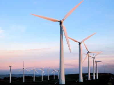 Expansão de eólicas ameaça comunidades e Caatinga no semiárido do Rio Grande do Norte