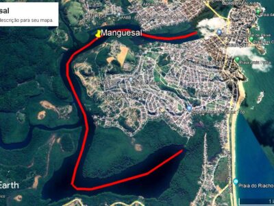 Por que não enxergamos o nosso Manguezal?
