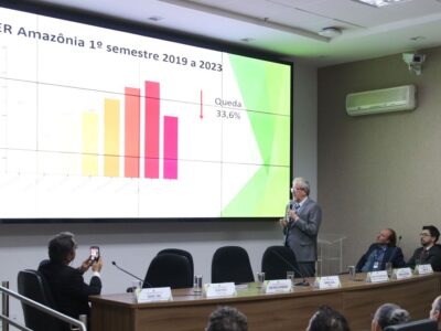 Amazônia tem redução de 33% em áreas sob alerta de desmatamento