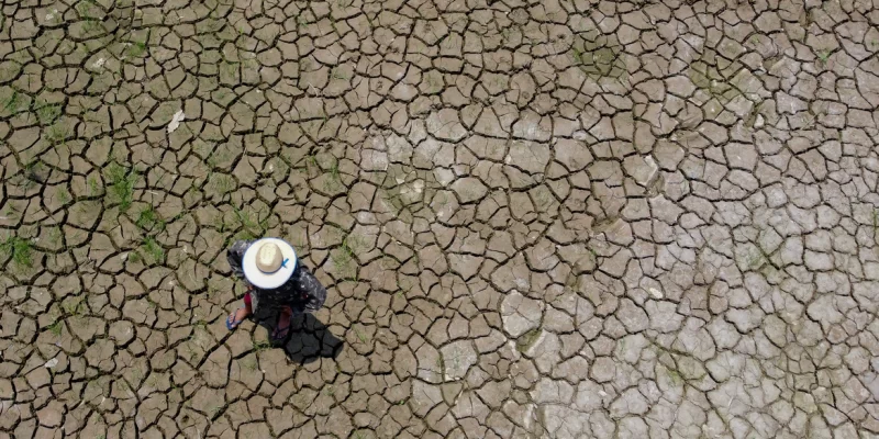 Seca já afeta todos os 62 municípios do Amazonas