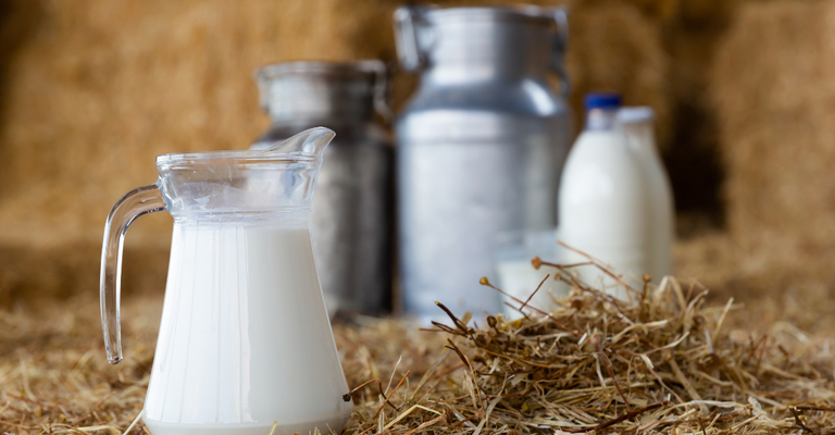 Mapa cria linha de financiamento para ajudar o setor leiteiro nacional