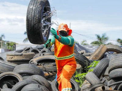 Ivermectina, limão e caldo de cana não são eficazes no combate à dengue