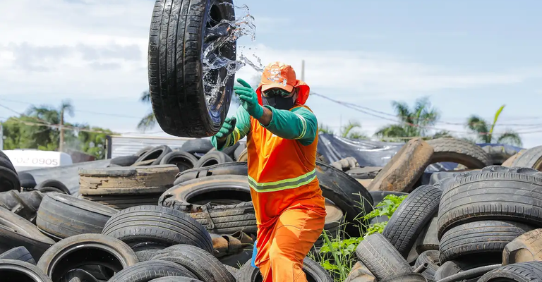 Ivermectina, limão e caldo de cana não são eficazes no combate à dengue