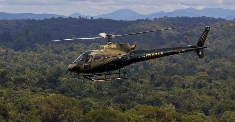 Vídeos antigos de desmatamento na Amazônia são divulgados como atuais