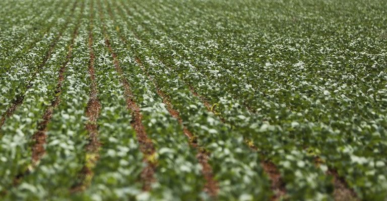 Governo Federal antecipa medidas de auxílio a produtores rurais