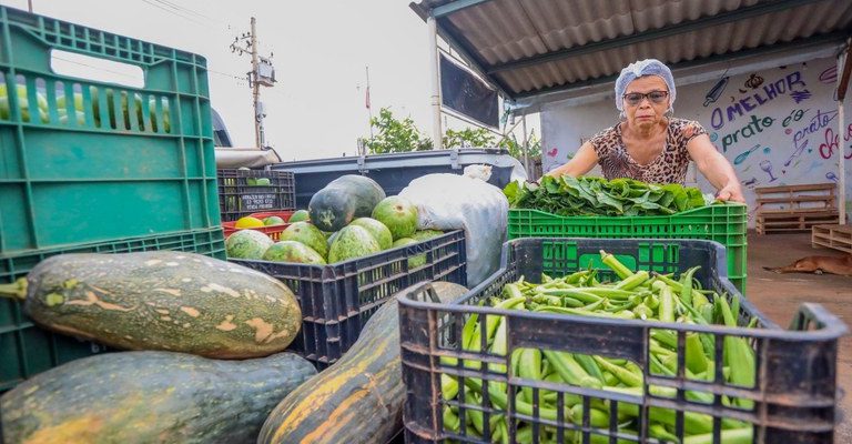Presidente assina decretos que regulamentam Cozinhas Solidárias e nova cesta básica em plenária do Consea
