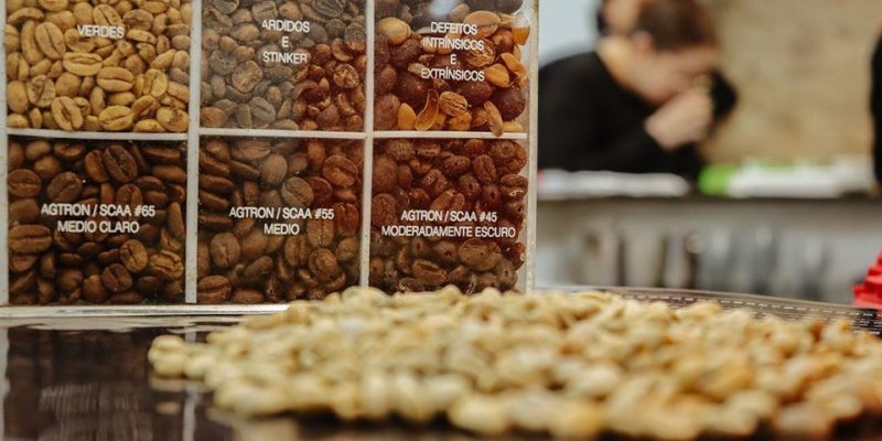 Feira ES+Café promove imersão no universo da cafeicultura capixaba