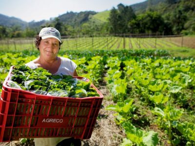 Programa de Aquisição de Alimentos: mulheres são maioria na produção e na inclusão alimentar