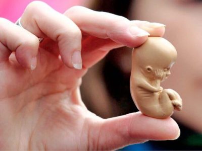 Maioria da bancada capixaba é a favor do PL da Gravidez